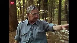 Natursendungen mit Hans A. Traber ...zum Beispiel die Bommer-Weiher 06.07.1983