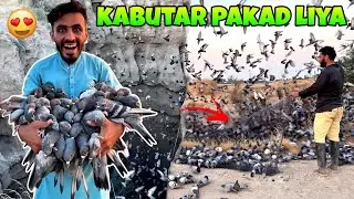 KABOOTAR PAKAD LIYE 😱 || KABOOTAR HALAL KR KE KARAHI BNAI DI 😍