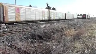 CLASSIC !! Cn L551 Cn 2419 Cn 2518 and 148 power Cn 2624 Cn 2447 at Goreway March 4 2018