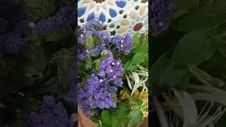 بدأت قناة 