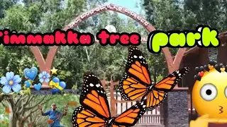 salumarada Timmakka tree park manipal#timmaka tree park in udupi