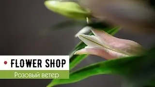 Advertising | Flower Shop 