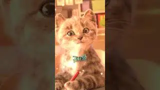 Niaw or Meow, This is the question!?