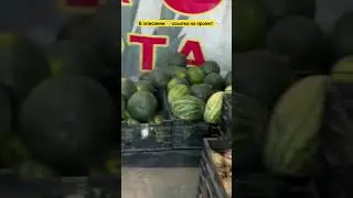 Наш богатый урожай 😎#дети #family #помощь