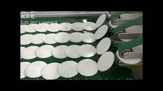 Protective Filter Pads Discs Filters Machine|How can discs filter pads produce？