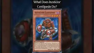 What Does Inzektor Centipede Do? (Yugioh Cards Explained for Easy Deck Building)
