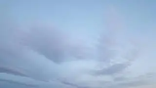 Thousands of Canada Geese Migrating
