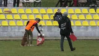 Татьяна Романцева и Klassik Allert Thrash (CACIT) IGP-3 B-95