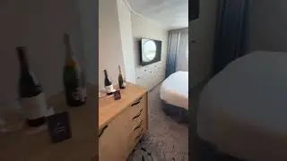 Wonder of the Seas Starboard Side Oceanview 10524