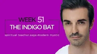 USE YOUR SENSES. Week 51. THE INDIGO BAT. Todd Savvas - spiritual psychic astrology