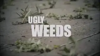 The Weed Snatcher,  AS SEEN ON TV