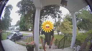 The Flower Bandit of Louisville