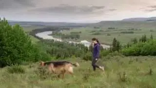 Petsecure