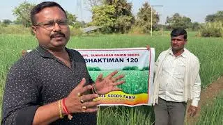 Sukhsagor onion contact 9903188188