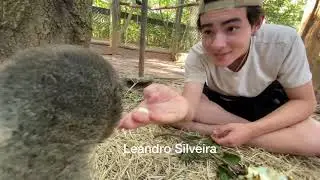 Quem gosta de fruta do conde aqui no IOP?😋🤤😜