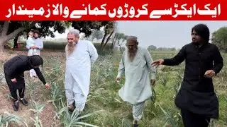 G1 garlic in Pakistan | G1 Garlic | G1 | G1 Garlic Farming | G1 Lehsan | Amazon marketing | Farmer