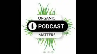 Season 2: Developing an organic market for buyers and sellers