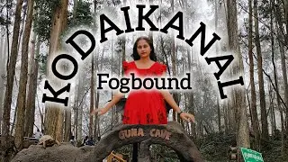 Kodaikanal Trip| Peaceful Stay| Foggy Climate|@SowmiesDiary 