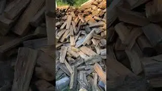 Season premium wood #viral #wholesale #gratitude #abundance #redoak #music #reddit #viralvideo