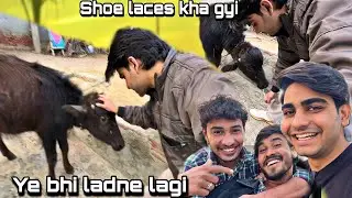 Ab isse bhi ladna pdega😂 | Himanshu Sheoran | Fun and fully entertainment | Daily Vlog