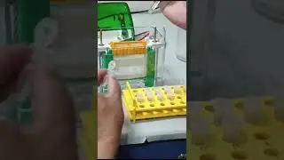 SDS_PAGE | SDS - Poly Acrylamide Gel Electrophoresis | Molecular weight of a protein