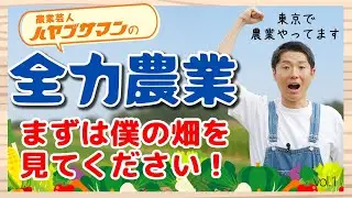 【全力農業】農業芸人ハヤブサマン登場！東京・世田谷「池田農園」をご紹介！【ハイポネックス】