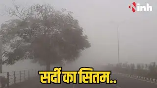 MP Cold Wave : कोहरे के साथ सर्दी का सितम.. सड़क पर ठिठुर रहें बेघर, ठंड से बचने अलाव का सहारा