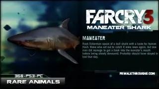 Far Cry 3 Hunting Rare Animals ManEater Shark