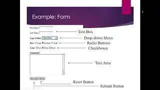 Learn HTML in an interesting way. #SmarterQuotidian #Htmlcoding #FormsinHTML