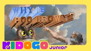 Why is Poo Brown? | The Poo Files | S2 | E12
