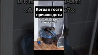 Быстрее прятаться😂😂 #рек #remix #music #disco #shots #youtubeshorts #топ #котики #youtube