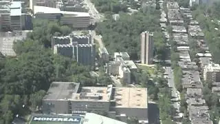 SDC10393.AVI