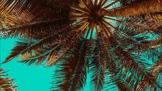 Deep House Deep Selection - Summer Time