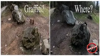 Graffiti In The Forest Removal