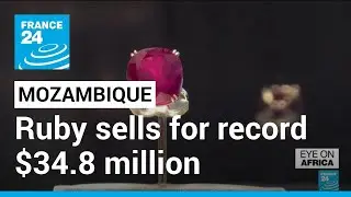 Mozambique ruby sells for record $34.8 million &bull; FRANCE 24 English