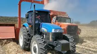 New holland Ts6 125 con ensiladora  molino 30 azteca! Suscríbete para mas videos!!