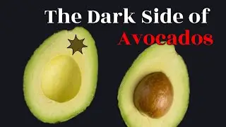 🥑The Dark Side of Avocados &ndash; What You Need to Know!