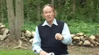 Zest for Living - An Abuse Free Life: The Roger MacNamara Video Series