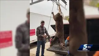 Hunters Against Hunger works to connect hunters and meat processors to Oklahoma food banks