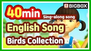 [Nursery Rhymes Collection] The Itsy Bitsy Spider & Hickory Dickory Dock l Kids Songs Video