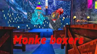 Monkey boxing!