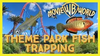 Theme Park Fish Trapping!!! Pacific Blue-eyes!!!