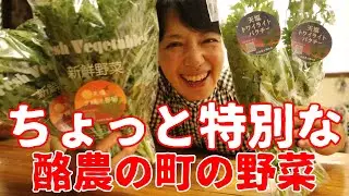 【日本最北！】北海道天塩町から届いた産地直送野菜が美味しすぎた！