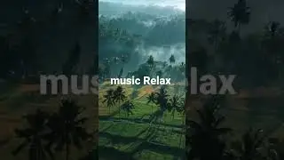 new best music for relaxation meditation and sleep