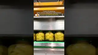 Suction Cup Palletizing Robot