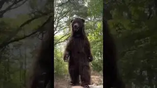 Spot the Fake Animal: Can You Tell Fact from Fiction? 😱 #shorts #trending
