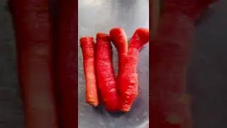 Orange green white hamare jeevan ka aham hiss&rsquo;s