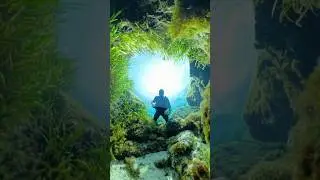 What It Looks Like Inside of a Hidden Florida Spring 💧 #florida #nature #floridasprings #insta360