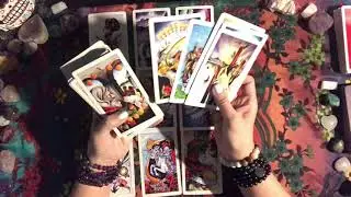 Scorpio Don't Give Up on Future Dream Mid-Month March 2019 Tarot Reading