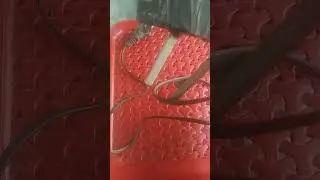 Use of electrolyser for check water#car #shortmusic #smartphone #shorts #shortvideo #subscribe